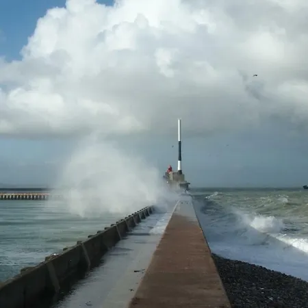 Les Havrais Bis Le Havre