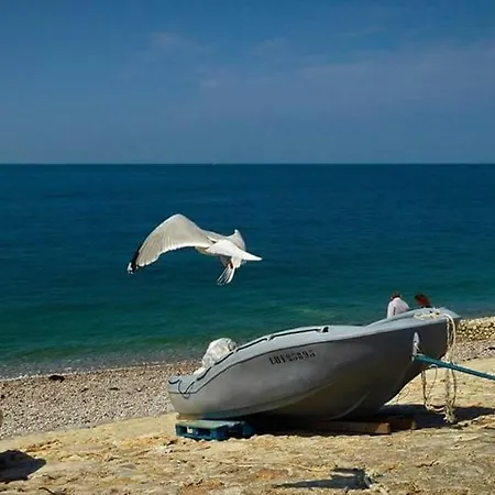 Les Havrais Bis *